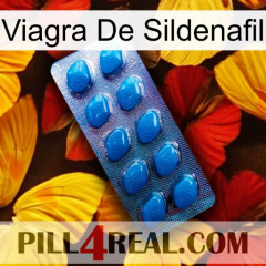 Sildenafil Viagra viagra1